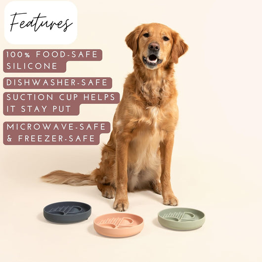 Comedero Lento de Silicona para Perros - Diseño Moderno Anti-Gulping - Image 12
