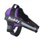 Roxo Bebê1