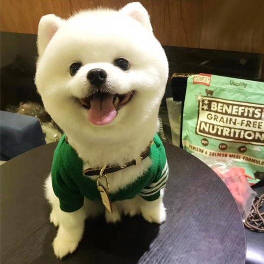 Suéter Navideño para Mascotas - Abrigo Cálido para Perros Pequeños y Gatos - Image 15