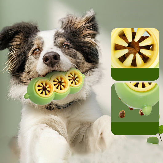Juguete Interactivo Dispensador de Alimento con Limpieza Dental para Perros - Image 3