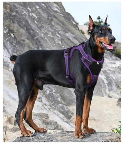 Purple pet harness with reflective straps, a top handle, and a metal D-ring for leash attachment. - Image 16