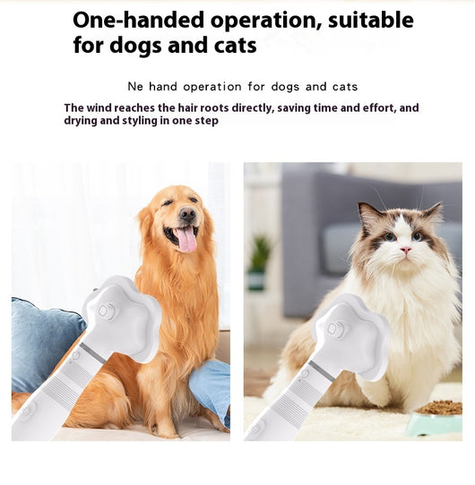Secador Eléctrico 2 en 1 para Mascotas con Extracción de Pelo - Image 15