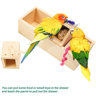 Wooden bird puzzle training toy set with a treat box, mini skateboard, and colorful ring toss game. - Image 6