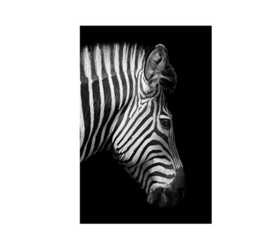 Cuadro de Lona Cebra Blanco y Negro - Arte de Pared Moderno para Sala de Estar - Image 4