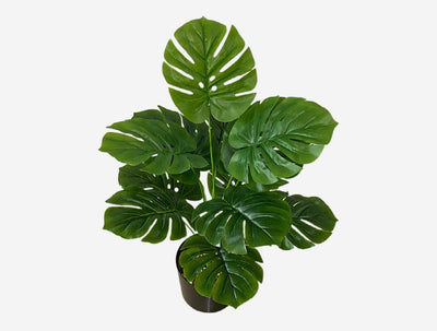 Planta Artificial Decorativa Tortuga - 12-24 Cabezas Verdes para Pared y Jardín - Image 17