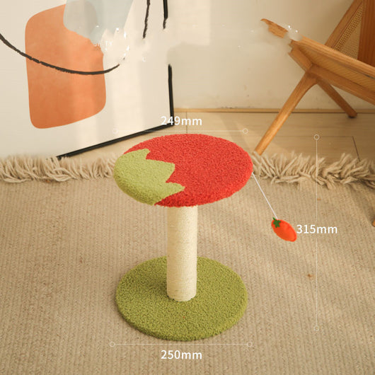 Árbol Rascador para Gatos Pequeños con Tablero de Sisal - Image 11