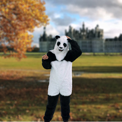Disfraz de Panda Adorable con Cabeza Articulada y Boca Móvil - Image 3