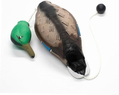 Juguete de Pato para Perros Agresivos - Resistente sin Relleno con Sonido Quack - Image 4