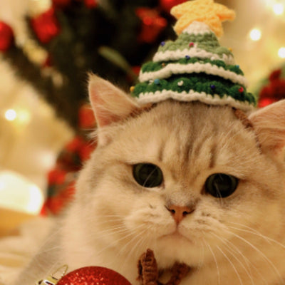 Árbol de Navidad Pequeño con Gorro y Gato Mascota