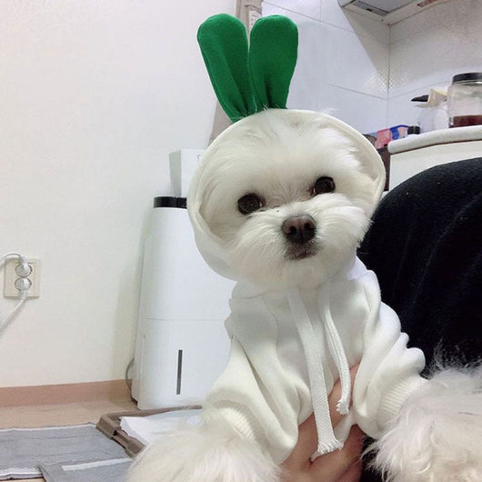 Ropa Adorable para Perros y Gatos - Chaleco de Algodón con Diseños Animados - Image 11
