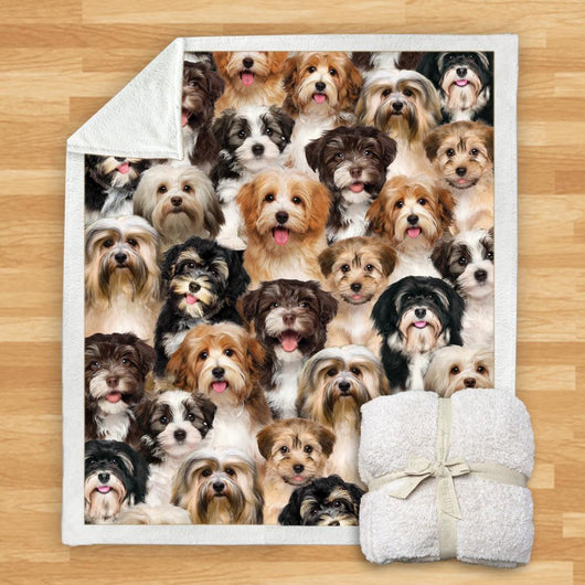 Manta de Franela Estampada para Perros de Diseño Moderno