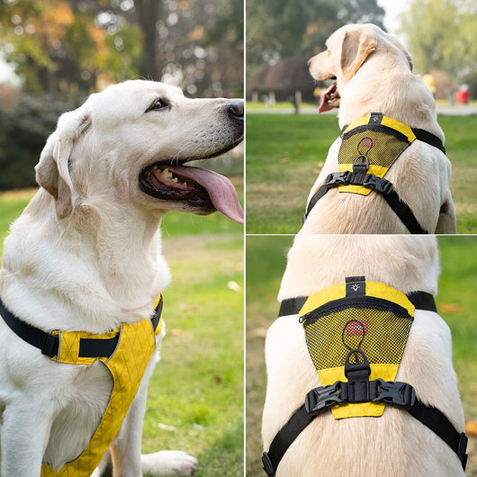Arnés Reflectante Impermeable para Perros - Chaleco de Seguridad sin Tirón - Image 5