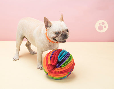 Pelota Comedero Interactiva Plegable para Perros