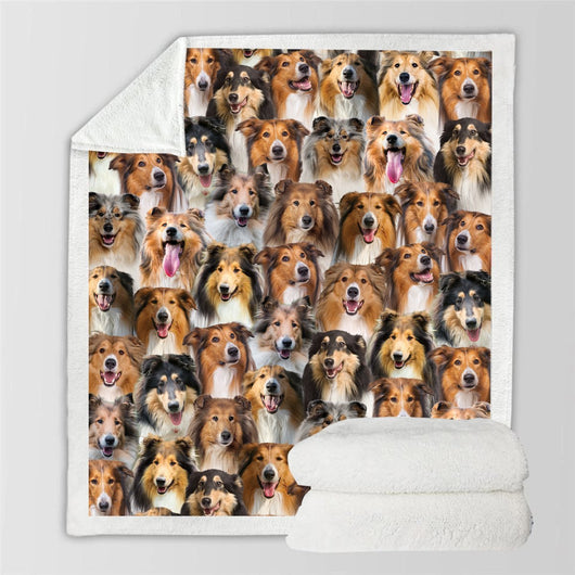 Manta Franela Estampada para Perros - Image 84