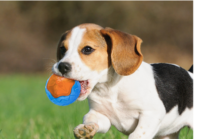Yellow and green textured dog toy ball made from TPR, designed for chewing and interactive play. - Image 10