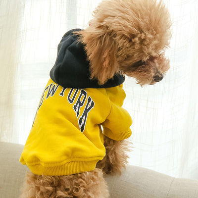 Sudadera con Capucha de Algodón Terry para Mascotas - Diseño Casual con Letras - Image 4