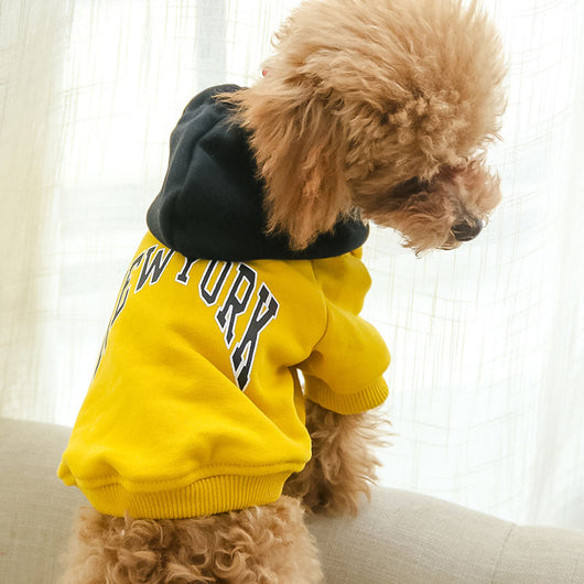 Sudadera con Capucha de Algodón Terry para Mascotas - Diseño Casual con Letras - Image 4