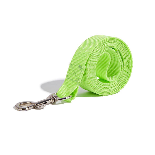Correa Portátil con Asidero para Perros - Collar de Paseo Seguro - Image 13
