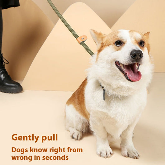 Cuerda de Entrenamiento para Pasear Perros con Agarre Manual - Image 4