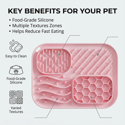 Comedero Lento para Perros con Ventosa Antiasfixia - Image 15