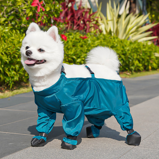 Traje Protector Antipolvo para Mascotas con Pañal Integrado - Image 11