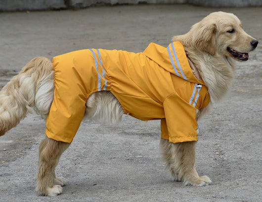 Impermeable para Perros Grandes y Medianos - Image 57