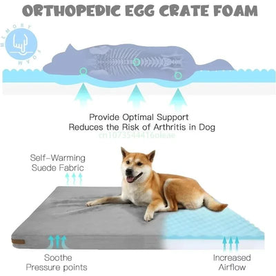 Cama Reversible para Perros Medianos y Pequeños - Cuatro Estaciones, Resistente al Agua y Mordidas - Image 3