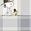 Cobija de felpa Peanuts Velvet Loft Snoopy 140 x 178 cm – Diseño The Flying Ace, oficial y ultra suave - Tekeno