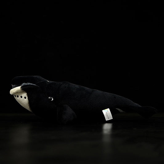 Muñeco de Ballena Boreal Adorable - Juguete Educativo Marino - Image 2