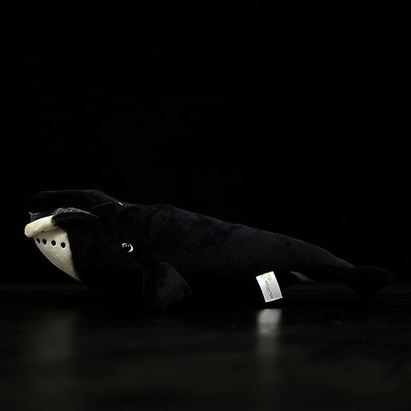 Muñeco de Ballena Boreal Adorable - Juguete Educativo Marino