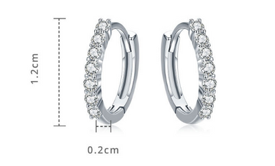 Aretes de Plata 925 con Circonita - Diseño Europeo y Americano - Image 4