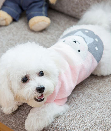 Ropa para Perros - Image 5