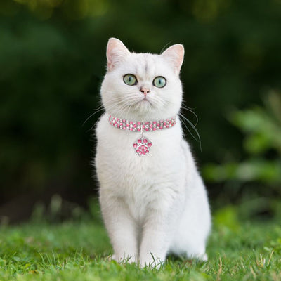 Collar de Diamantes para Mascotas - Joya Elástica Multicolor para Gatos y Perros - Image 6
