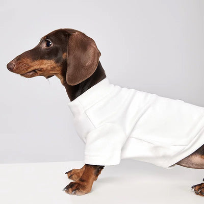 Abrigo Térmico para Mascotas - Perros y Gatos Resistente al Frío - Image 21