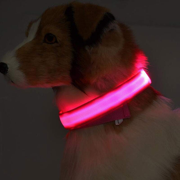 Collar LED Luminoso para Perros y Gatos - Seguridad Nocturna con Luz Fluorescente