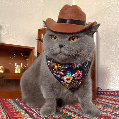 Sombrero Vaquero Decorativo para Gatos - Image 11