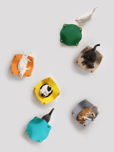 Árbol Rascador para Gatos con Nido Fácil de Limpiar - Image 11