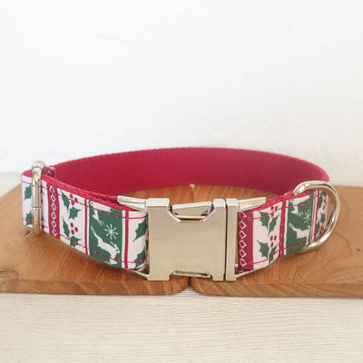 Collar Acolchado Grueso para Perro - Productos para Mascotas