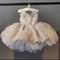 Vestido Princesa de Encaje para Niña - Largo a la Rodilla Perfecto para Cumpleaños