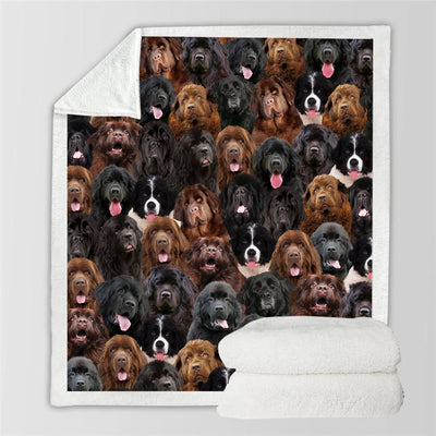 Manta Flanela Estampada para Perros de Moda - Image 45