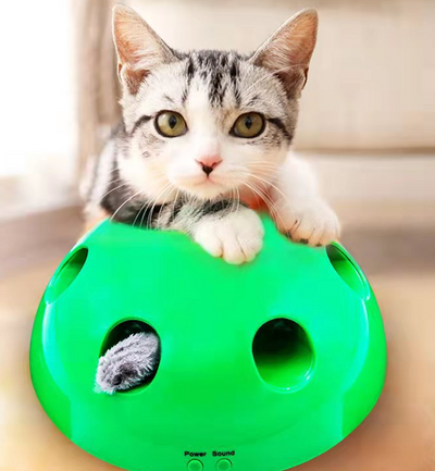 A cute tabby and white kitten with green eyes playing with a bright green dome-shaped interactive cat toy. - Image 10