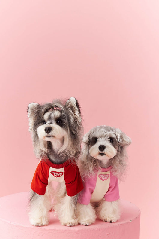 Ropa de Verano para Perros con Contraste de Colores - Image 17