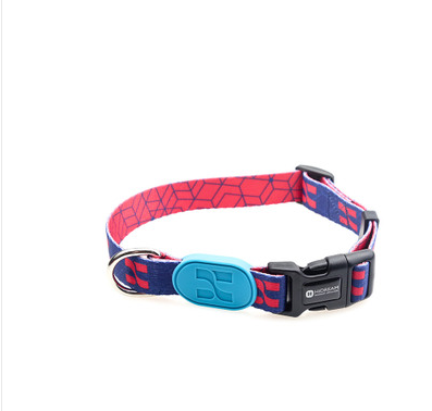 Collar de Perro Colorido - Image 14