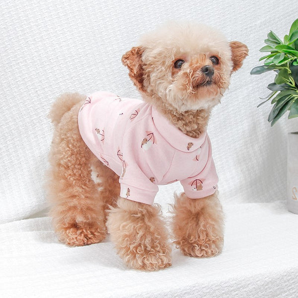 Ropa de Abrigo para Perros Pequeños - Colección Otoño Invierno