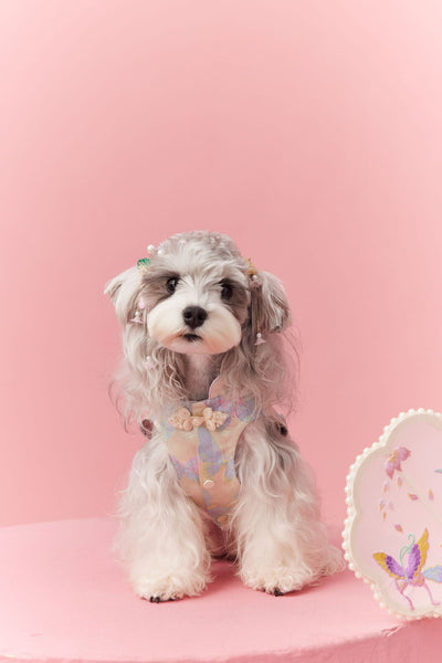 Chaleco Cheongsam Estilo Neo-Chino para Mascotas Pequeños - Schnauzer y Bichón - Image 31