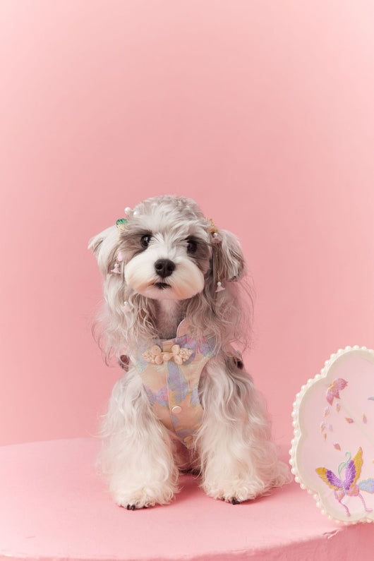 Chaleco Cheongsam Estilo Neo-Chino para Mascotas Pequeños - Schnauzer y Bichón - Image 31