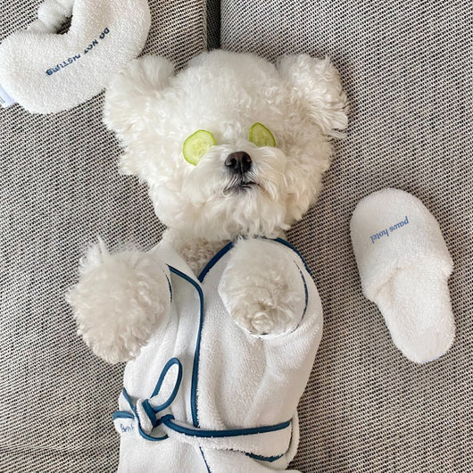 Bata de Baño para Mascotas - Albornoz Suave para Perros Bichón y Teddy - Image 6