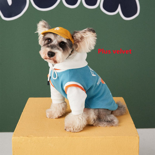 Suéter para Perros Otoño Invierno con Contraste de Colores Falsa Dos Piezas - Image 7