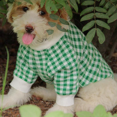 Suéter Deportivo para Perros con Cuello Alto Resistente al Viento - Image 27