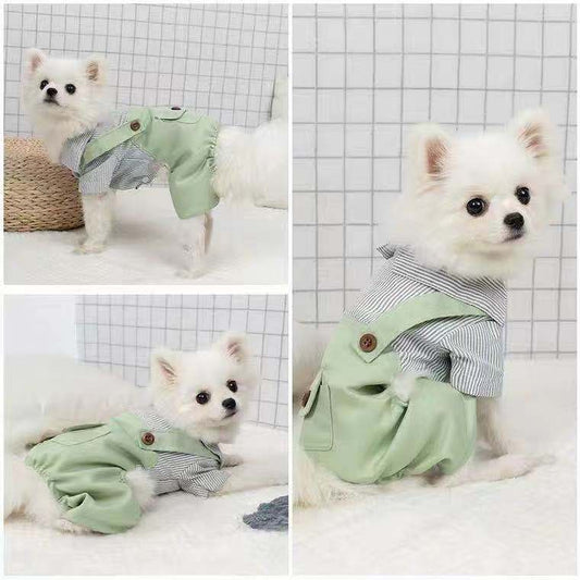 Ropa Ligera para Mascotas - Abrigo Primavera y Otoño para Perros y Gatos
